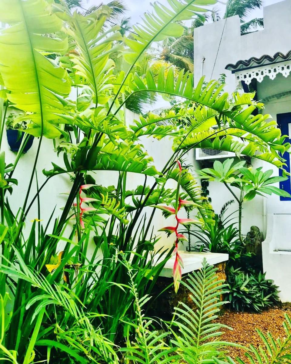 Sriyan Villa Beruwala Exteriér fotografie